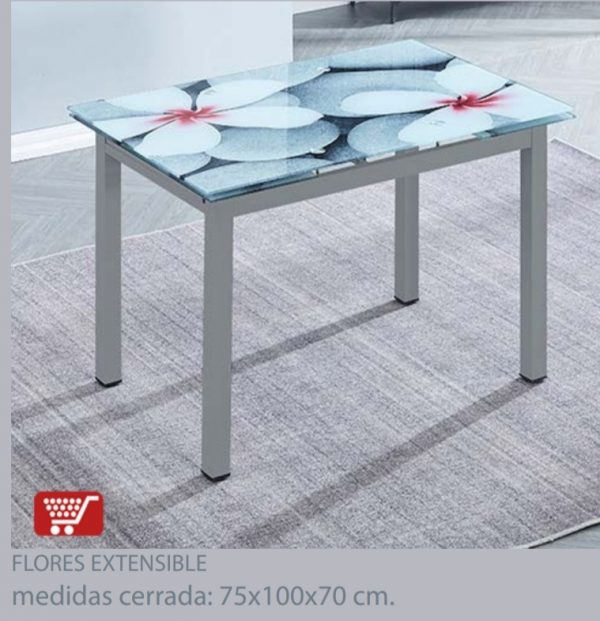 Mesa florar  fija + 6 silla - Imagen 4