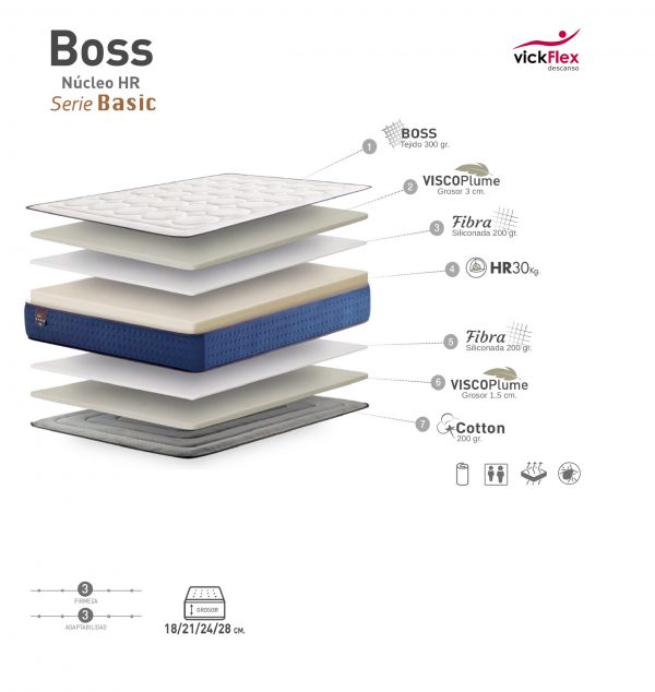 MODELO BOSS de HR Y VISCO - Imagen 3